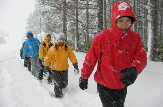 Snowshoe